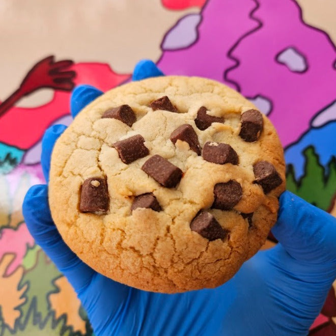 Chocolate Chip